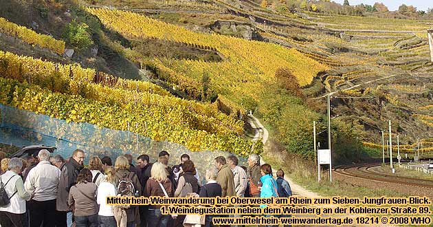 Mittelrhein-Weinwanderung bei Oberwesel am Rhein zum Sieben-Jungfrauen-Blick. Mittelrhein-Weinwandertag