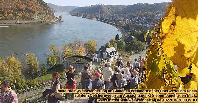 Mittelrhein-Weinwanderung bei Oberwesel am Rhein zum Sieben-Jungfrauen-Blick. Mittelrhein-Weinwandertag